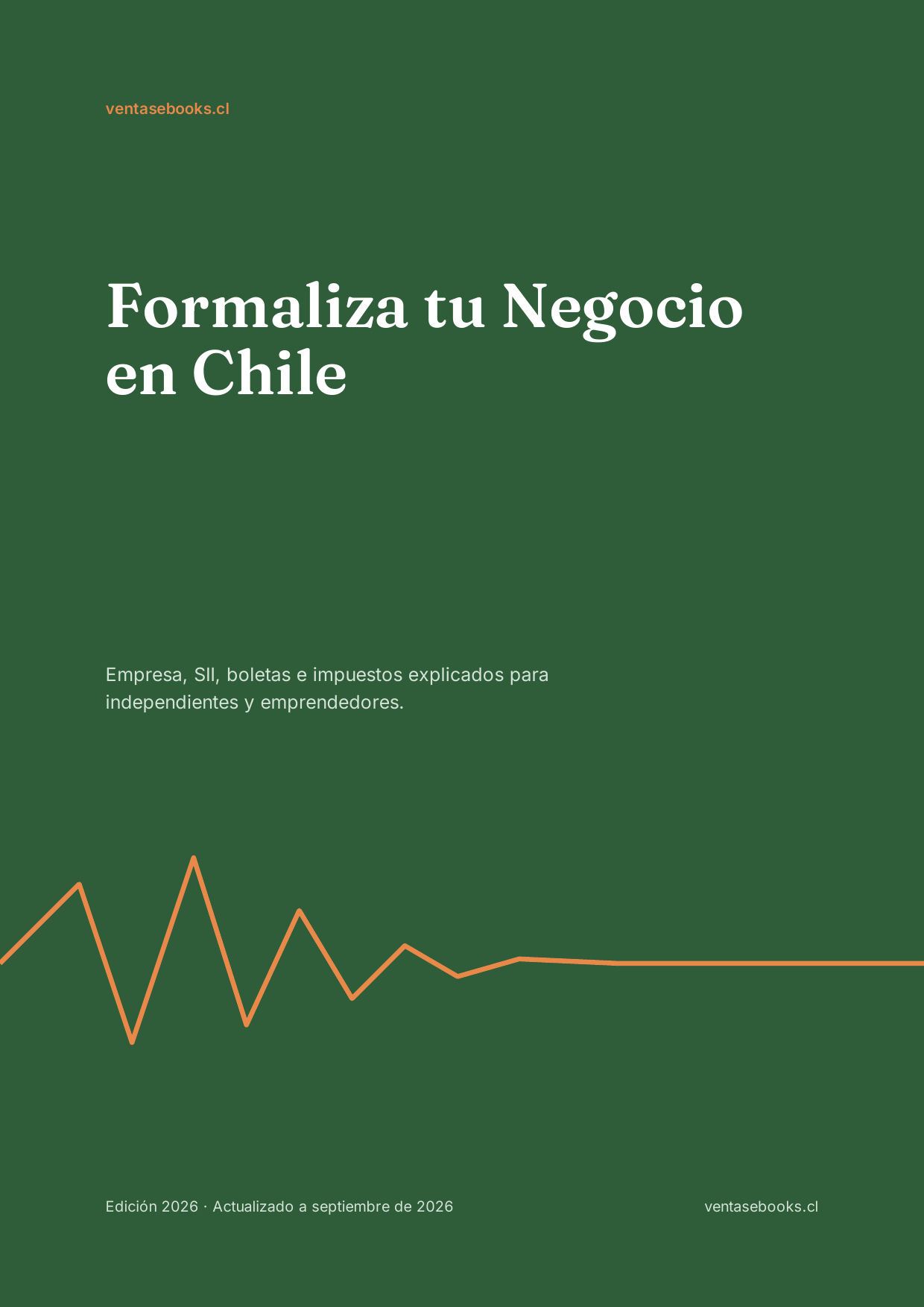 Portada de Formaliza tu Negocio en Chile